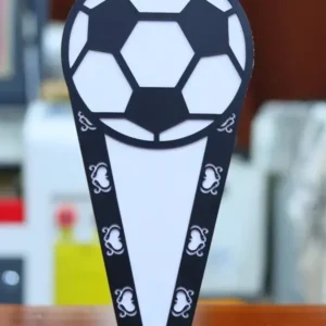 Trophée Football